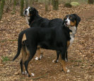 Ulla and Flora Victoria in the wood - January 2007