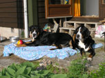 Ulla og Flora Victoria på ferie i Sverige - Maj 2007