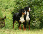 Ulla og Flora Victoria på sommerferie i Sverige - Juli 2007