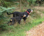 Ulla and Flora Victoria in the wood - October 2006