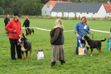 Hundebll's Huxi og Jaro von Steenkamp