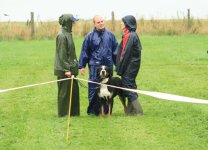 Atmosphere photos from the Greater Swiss Mountain Dog meeting