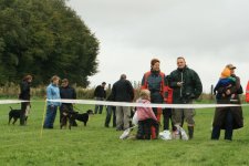 Atmosphere photos from the Greater Swiss Mountain Dog meeting