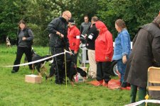 Atmosphere photos from the Greater Swiss Mountain Dog meeting