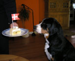Ulla fejre sin 1 r fdselsdag - Februar 2004