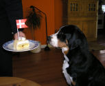 Ulla fejre sin 1 r fdselsdag - Februar 2004